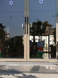 Festival & Holiday Decoration