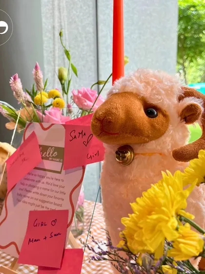 A sweet sheep plushie stands next to a "suggestion board" where guests have left their name ideas on sticky notes. This is a fun, low key way to get everyone involved.