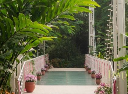 A full view of the decorated bridge, surrounded by lush greenery. It's these thoughtful touches in unexpected places that elevate the guest experience and create a cohesive design.