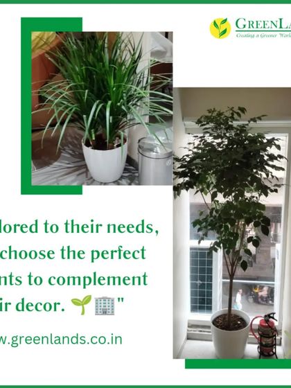 Hospitality & Commercial Spaces photo 12