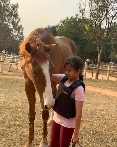 Equestrian Retreats