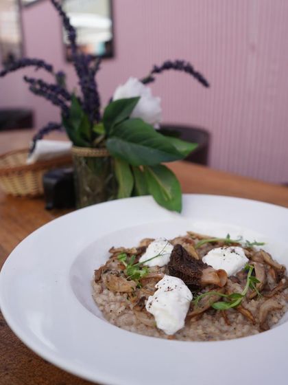 Our beloved morel risotto is a true delicacy. We use earthy morel mushrooms to create a rich, creamy risotto that is a favorite at our cafes and special events like the India Art Fair.