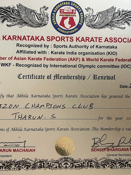 Horizon Champions Club - MMA & Boxing Expert Guidance & Proven Credentials photo 3