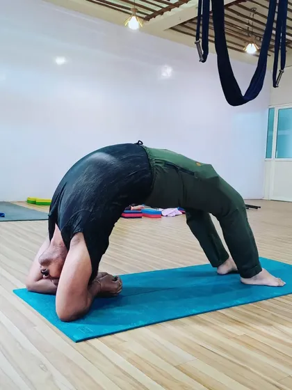 An advanced practitioner holds a deep forearm wheel pose, demonstrating incredible spinal flexibility and shoulder strength.