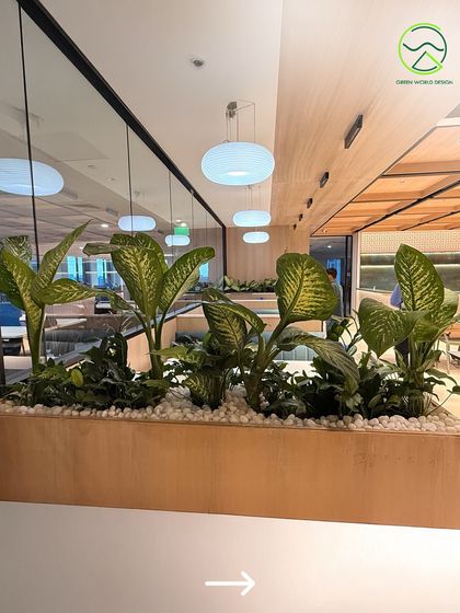 A view of the integrated planters in a corporate cafeteria. The wooden planters and white pebble top dressing create a clean, modern aesthetic while the lush plants improve indoor air quality and visual comfort.