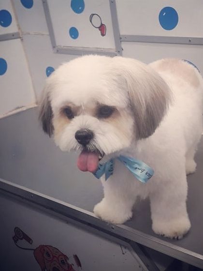 This is what a well-groomed and happy baby looks like. Clean, comfortable, and cute!