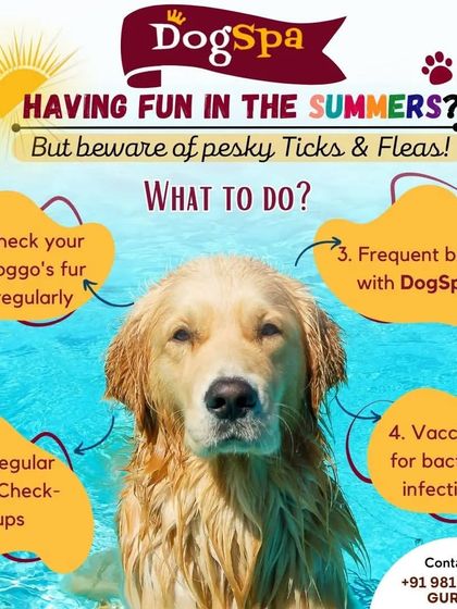 Having fun in the summer is great, but be aware of ticks and fleas. I recommend frequent baths, regular fur checks, and vet check-ups to keep your doggo safe.