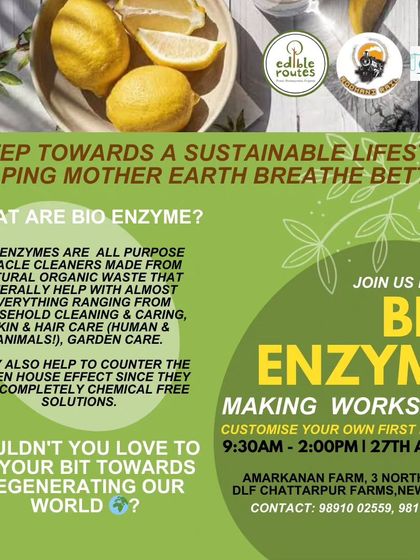 Join our Bio-Enzyme Making Workshop and take a step towards a more sustainable lifestyle by learning to make your own all-purpose natural cleaners.
