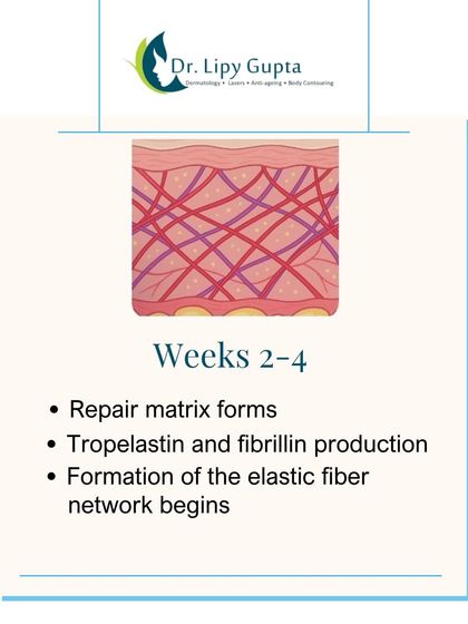 Advanced Skin Rejuvenation photo 12