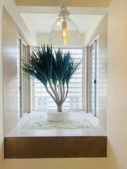 Even a narrow, unused space can become a design feature. We transformed this window nook with a striking Dracaena Draco plant set in a bed of white pebbles, creating a minimalist and elegant green statement.