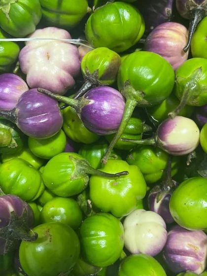 Close-up of the mixed small eggplants, showing their fresh stems. This is a sign of recently picked produce.