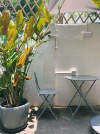 Health-focused Cafe Experience