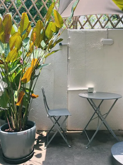 Another look at one of our quiet outdoor tables, surrounded by tall, beautiful plants.