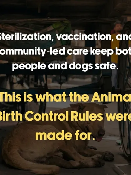 Advocacy is a huge part of our work. We believe in humane, long term solutions like sterilization and vaccination, which is what the Animal Birth Control rules were designed for. It's about creating safe communities for both people and our street dogs through coexistence, not cruelty.
