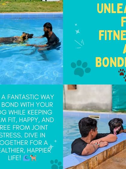 Poochkoo Mutts & Nutts - Dog Boarding & Daycare Splash Zone: Private Pool for Pups photo 5