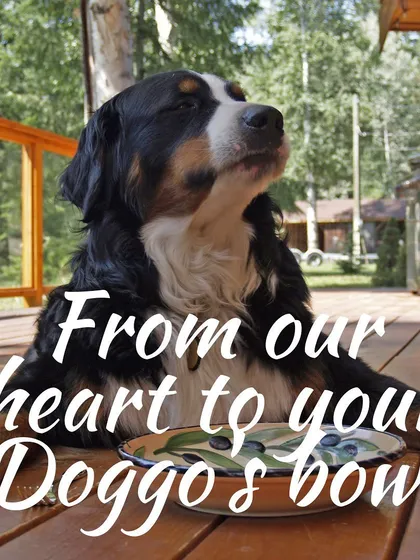 This is my philosophy. Everything I make is filled with love and care, sent directly from my heart to your doggo's bowl.