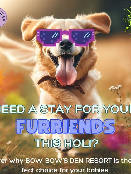 Planning a trip for Holi? This graphic highlights why we are the perfect choice for your "furriends." We offer a safe and fun alternative to leaving them home alone during the festivities.