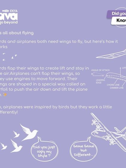 It's all about flying. While airplanes were inspired by birds, their wings work differently. We help students explore these fascinating connections.