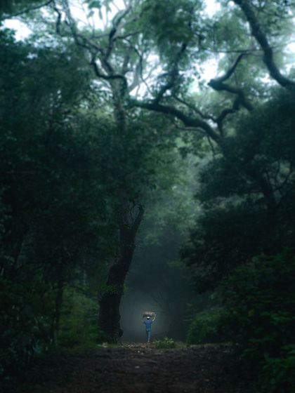A lone figure walking through the dense, misty forest of Matheran. The atmosphere here is straight out of a fairy tale.