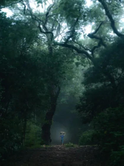 A person carrying a load on their head disappears into the foggy forest of Matheran, a powerful and atmospheric image of local life.