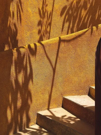 The play of light and shadow on our walls is a constantly changing piece of art, dictated by the sun and the season.