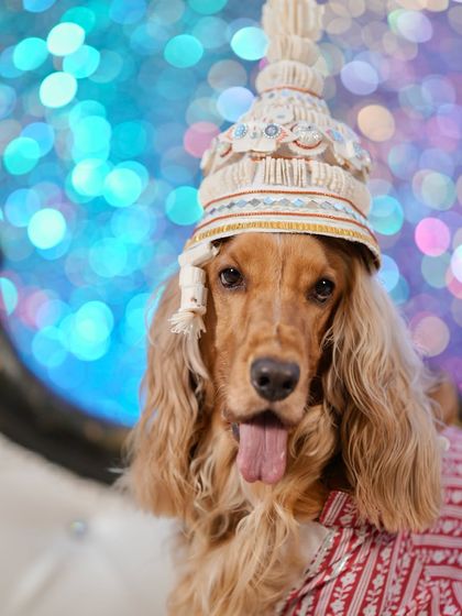 A close-up of Posto in his traditional Bengali 'topor' for Jamai Shoshti, looking absolutely regal.