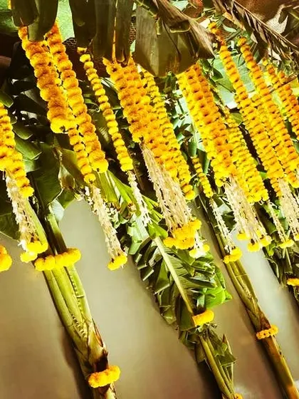 A close-up of the traditional decor for an Upanayanam ceremony, showing strings of fresh marigolds hanging from banana tree stems. These elements are central to many sacred Hindu rituals.