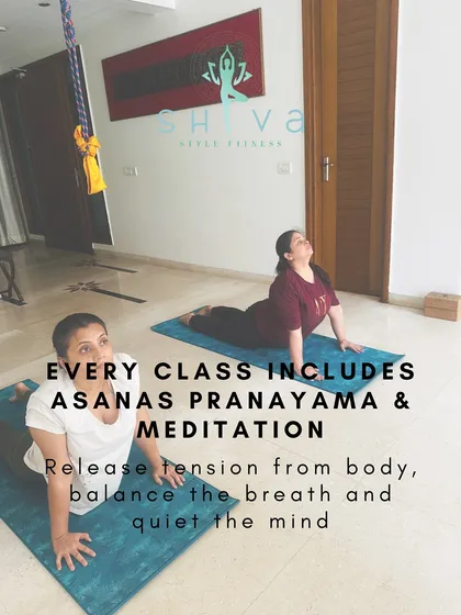 Our practice is holistic. Every class is a complete experience, integrating asanas to strengthen the body, pranayama to balance your breath, and meditation to quiet the mind for total well-being.