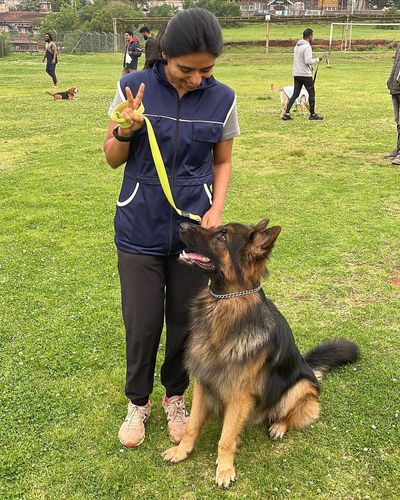 Dog Obedience & Behavior Training