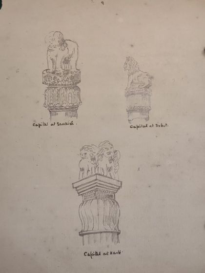 Our Story & Expertise photo 15