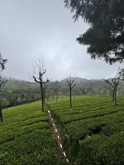 Vaishnavi Patel - Custom Photo & Video Art Travel & Adventure Doodles photo 10