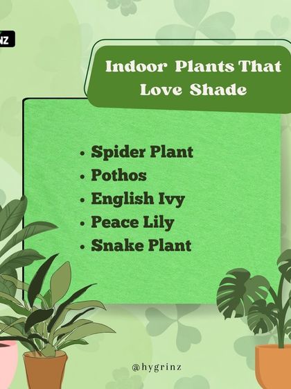 Hygrinz - Garden Design & Landscaping Your Guide to a Green Thumb photo 7