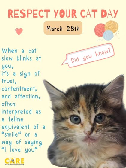 Charlie's Animal Rescue Centre - Community Outreach & Education Shelter Life & Fun Moments photo 3