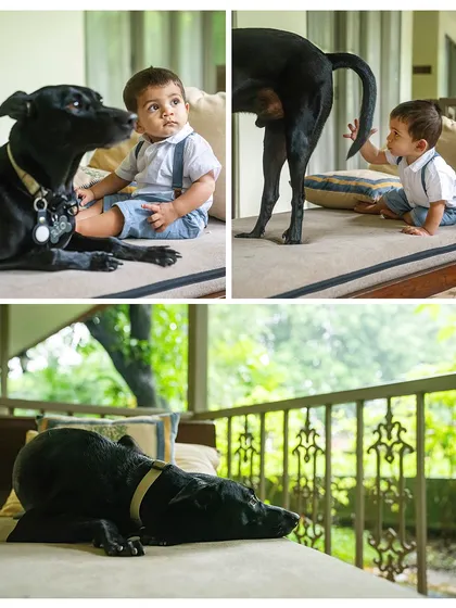 The story of a boy and his dog in three parts. A curious nose-to-nose, a playful tail grab, and a quiet moment of Rio watching over his domain. These candid shots capture the playful and protective nature of their relationship.