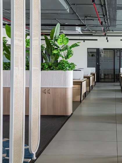 A view of the Thalia Technologies office, where I kept the central area open and filled with natural light. By integrating lush greenery into the storage units and using semi-transparent partitions, the workspace feels both connected and serene.