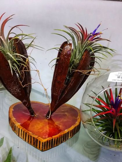 Miniature Worlds: Terrariums & Landscapes photo 18