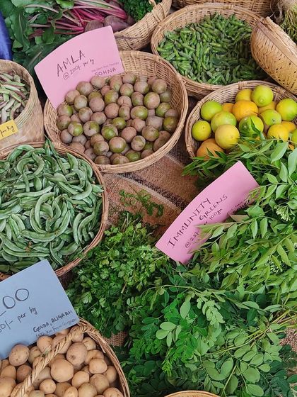 A display of "Immunity Greens" including moringa, alongside amla, lemons, and beans.