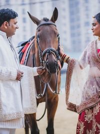 Equestrian Photoshoots