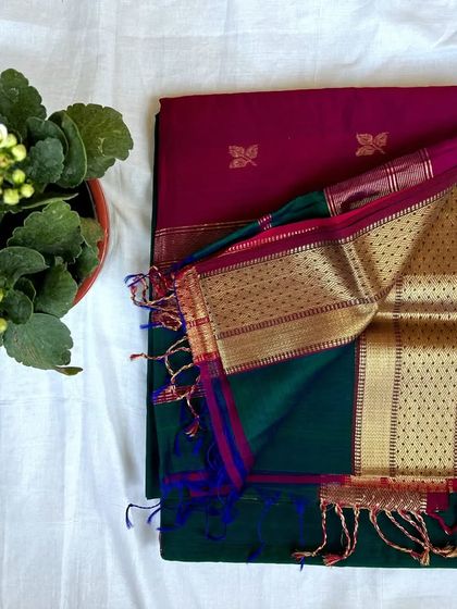 This Maheshwari saree features a unique combination of a wine-colored body with butterfly motifs and a contrasting green and pink pallu.