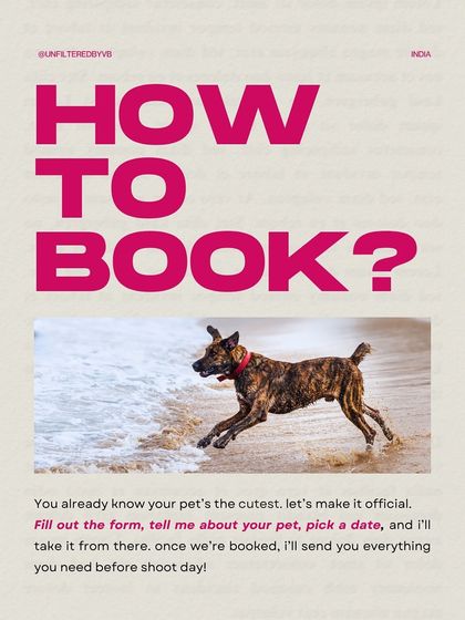 A summary of how to book your session. You already know your pet is the cutest, let's make it official!
