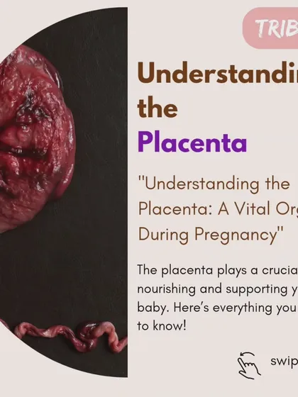 The placenta is a vital organ during pregnancy. This series explains everything you need to know about how it nourishes and supports your baby.
