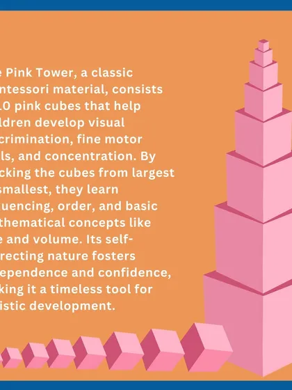 This graphic explains the purpose of the Pink Tower. Our course delves into the science behind each material, explaining how they develop fine motor skills, concentration, and an understanding of order and sequence.