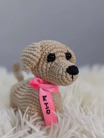 A close-up of Rio, the other custom dog from the pair, with a pink ribbon.