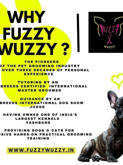 Fuzzy Wuzzy - Pet Grooming & Spa Awards, Events & My Credentials photo 17