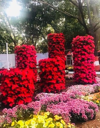 Ratnashri Landscapers - Large-Scale Event & Temporary Landscaping Festival & Wedding Floral Concepts photo 3