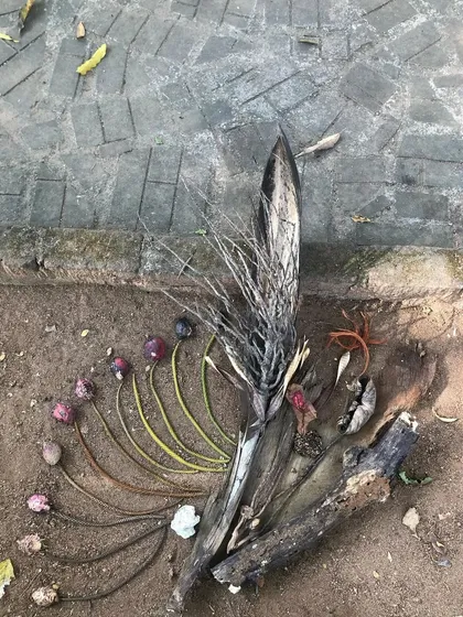 Sometimes the most beautiful collaborations are with nature itself. I love creating these meditative, temporary art pieces using found materials like fallen leaves, stones, and twigs. It’s a practice of being present and finding art in the world just as it is.