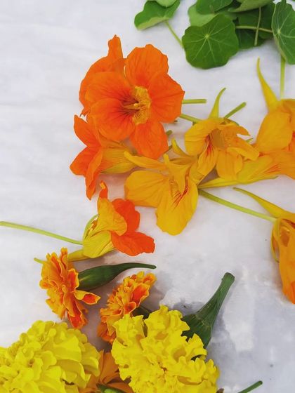 A colorful collection of edible flowers, including nasturtium and marigold, freshly picked and ready to garnish a salad or dessert.