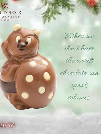 Another view of my chocolate tortoise with a polka-dot egg, a unique and charming character in my animal collection.