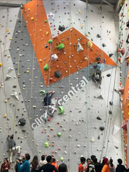 A wide view of our gym buzzing with energy. You can see climbers of all levels tackling different routes, with our crew on the ground ensuring a safe environment for all.