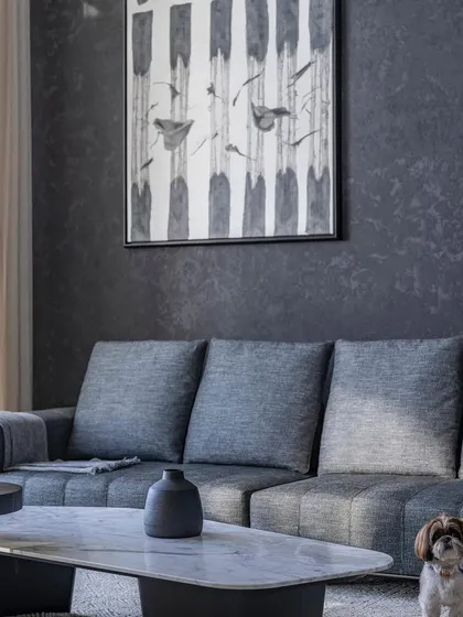 A quiet corner of the living room, where the play of natural light on the textured grey wall creates a dynamic surface. Even the family pet, Mango, finds his perfect spot in this calm and elegant space.